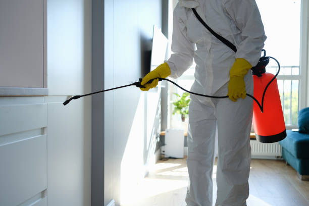 Best HVAC Mold Remediation in Trent Woods, NC