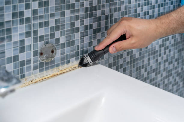 Best Kitchen Mold Remediation in Trent Woods, NC