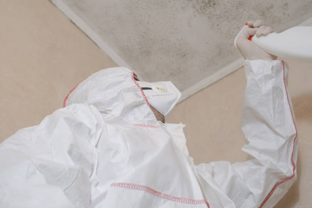Best Emergency Mold Remediation in Trent Woods, NC